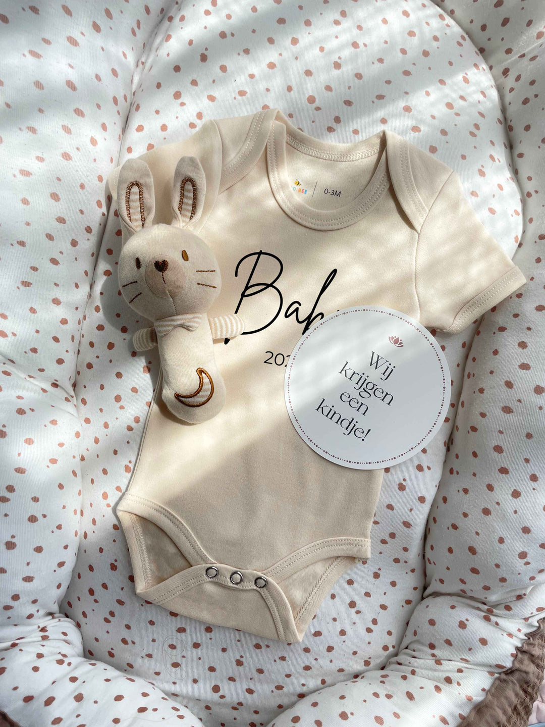 Zwangerschapsaankondigingen: origineel en onvergetelijk